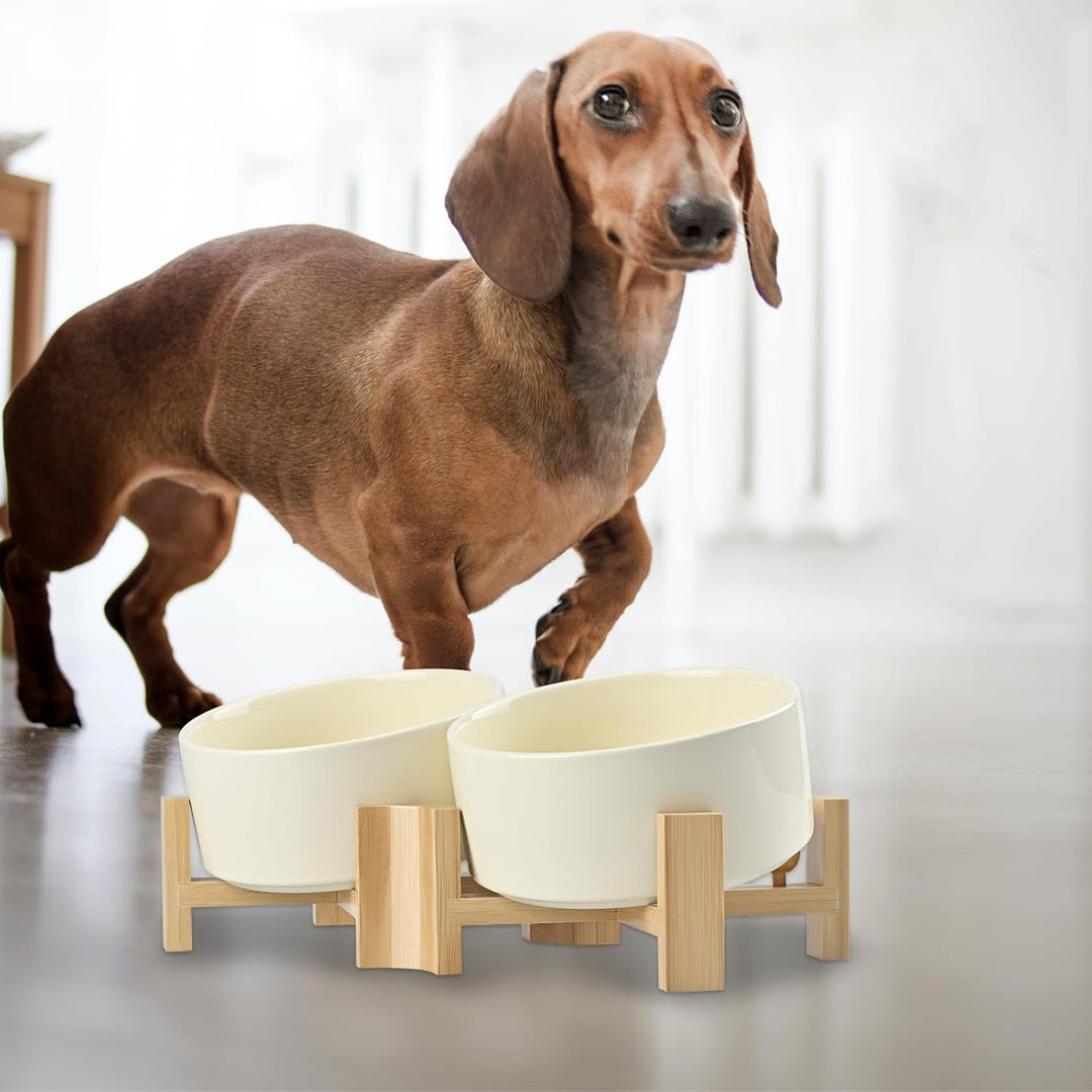 SPUNKYJUNKY 15° Kippbare Keramik Hundenapf mit Holzständer Futter und Wassernapf rutschfest für Hund