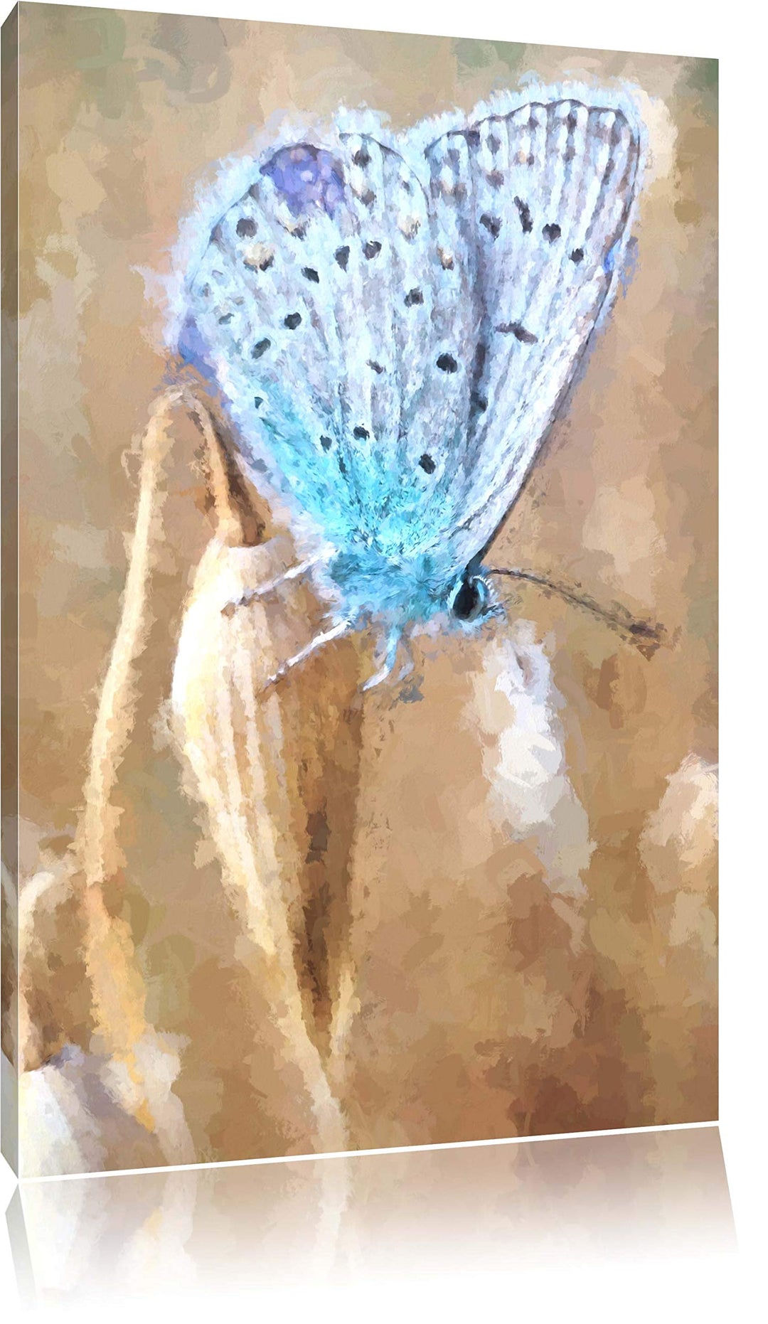 Pixxprint Blauer Schmetterling als Leinwandbild/Grösse: 100x70 cm/Wandbild/Kunstdruck/fertig bespann