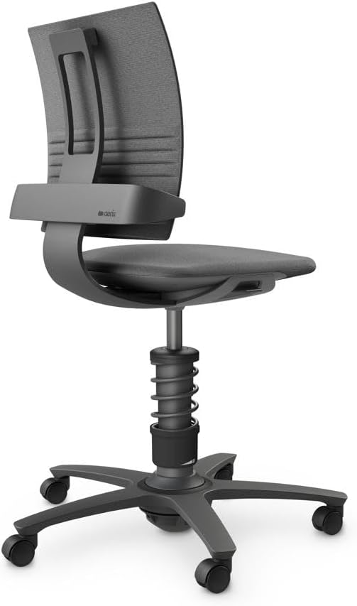 aeris 3Dee ergonomischer Bürostuhl – Schreibtischstuhl mit einzigartiger Rückenlehne – Bürostuhl ohn