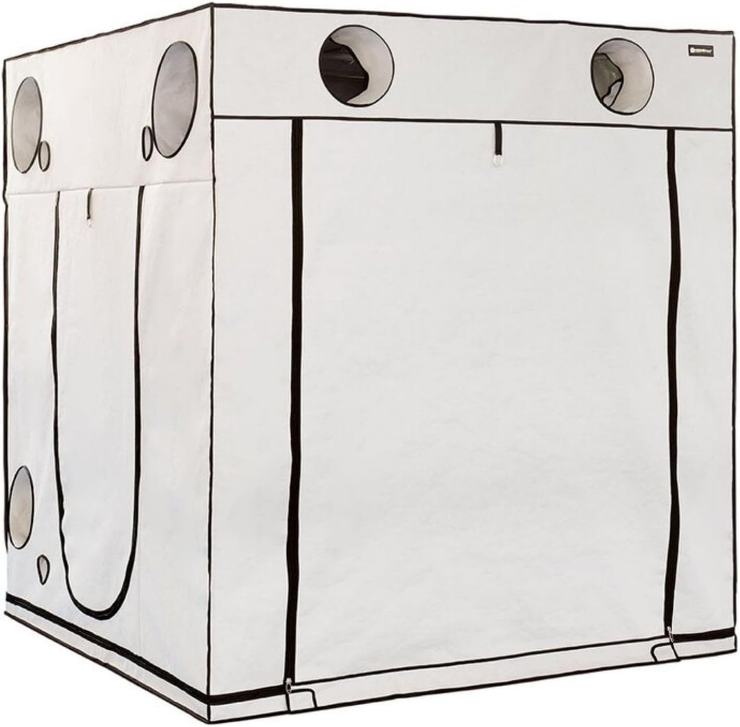 Weedness HOMEbox Ambient 200x200x220 cm - Zuchtzelt Growschrank Growzelt Zuchtbox Gewächszelt Homebo