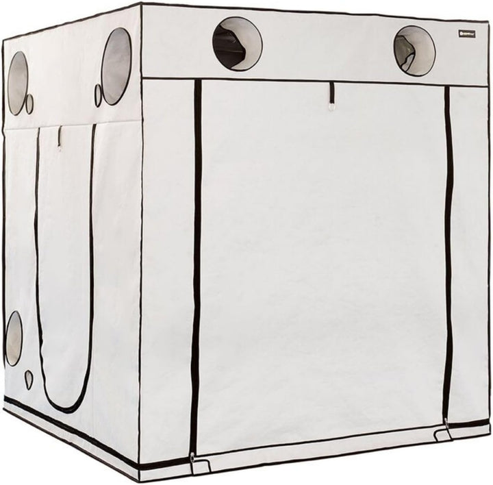 Weedness HOMEbox Ambient 200x200x220 cm - Zuchtzelt Growschrank Growzelt Zuchtbox Gewächszelt Homebo