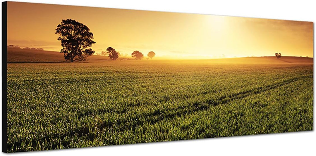 Paul Sinus Art Panoramabild auf Leinwand und Keilrahmen 150x50cm Australien Landschaft Feld Abendrot