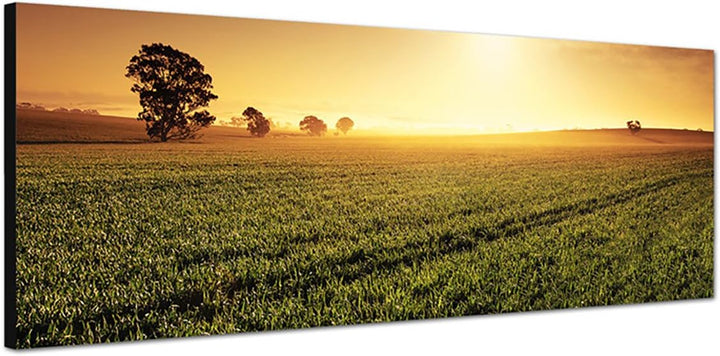 Paul Sinus Art Panoramabild auf Leinwand und Keilrahmen 150x50cm Australien Landschaft Feld Abendrot