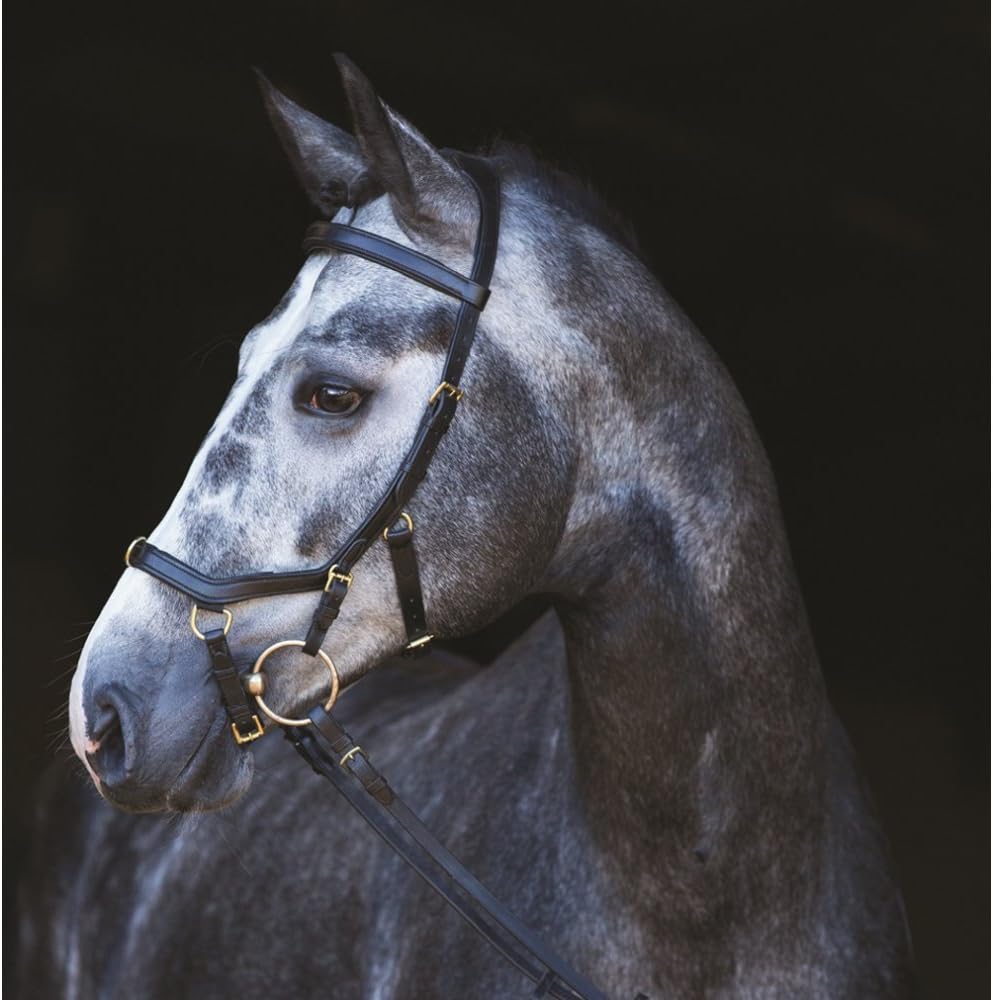 Horseware Rambo Micklem Multibridle black