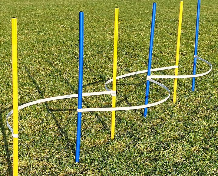 Agility - Slalom - AUSBILDUNGSSET MIT 4 SLALOMBÖGEN/TRAININGSBÖGEN + 6 SLALOMSTANGEN GELB/BLAU