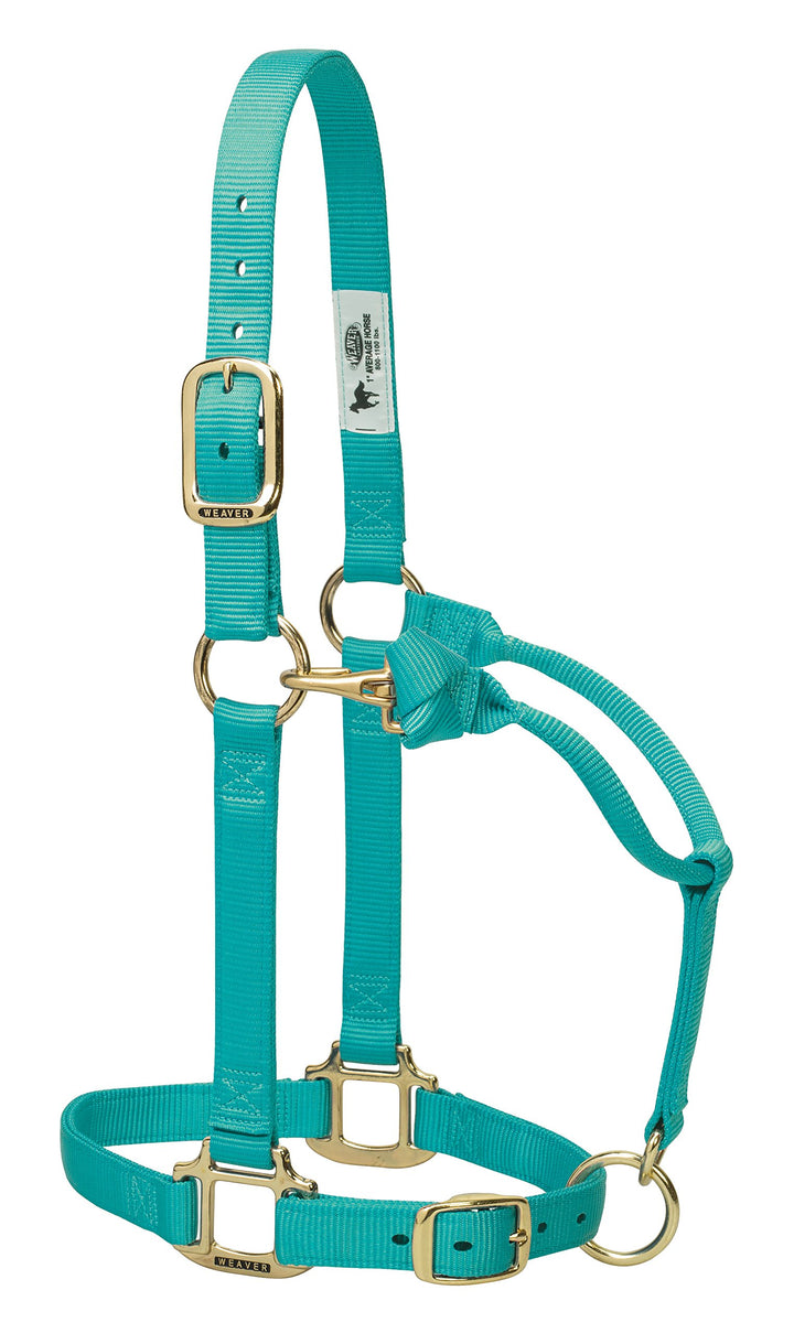 Weaver Leather Original verstellbares Nylonhalfter für Pferde 1" Small Horse mint, 1" Small Horse mi