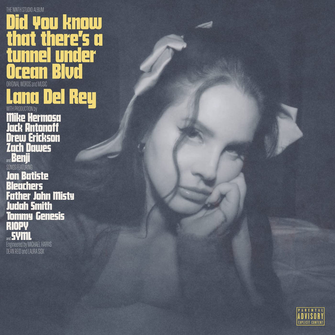 Did you know that there's a tunnel under OceanBlvd, Vinyl