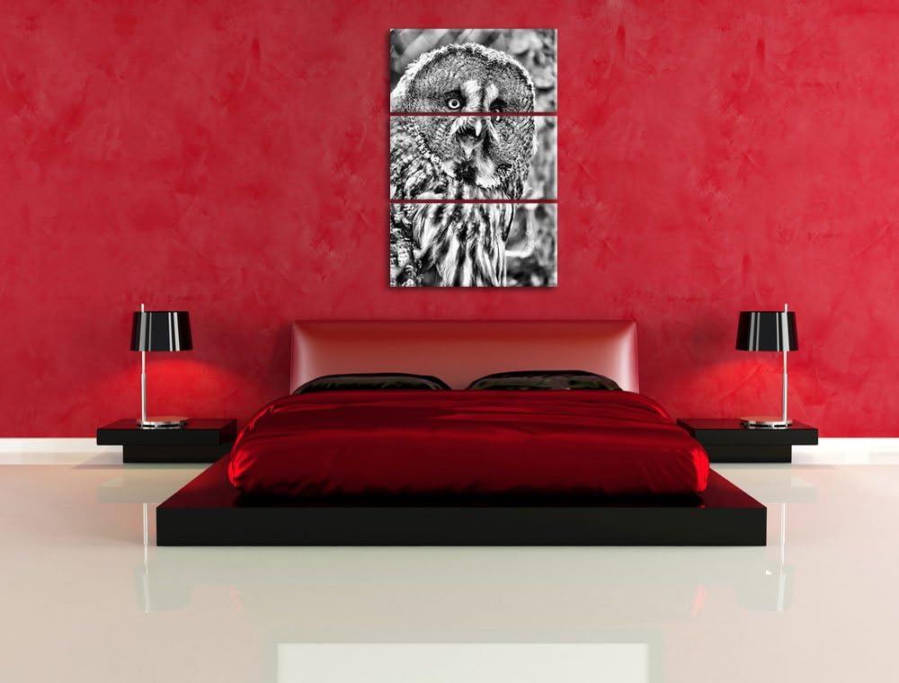 Pixxprint prächtiger Habichtskauz als Leinwandbild/Grösse: 3 Teilig (120x80) cm/Wandbild/Kunstdruck/