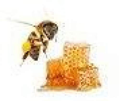 Sauna-Peelingsalz 200g - Honig