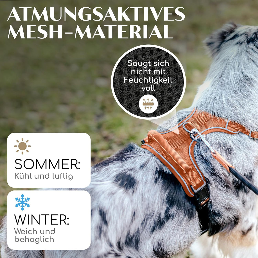 FREUDENTIER Hundegeschirr mit Mesh-Polsterung - Höchster Komfort, bombenfester Sitz & maximale Siche