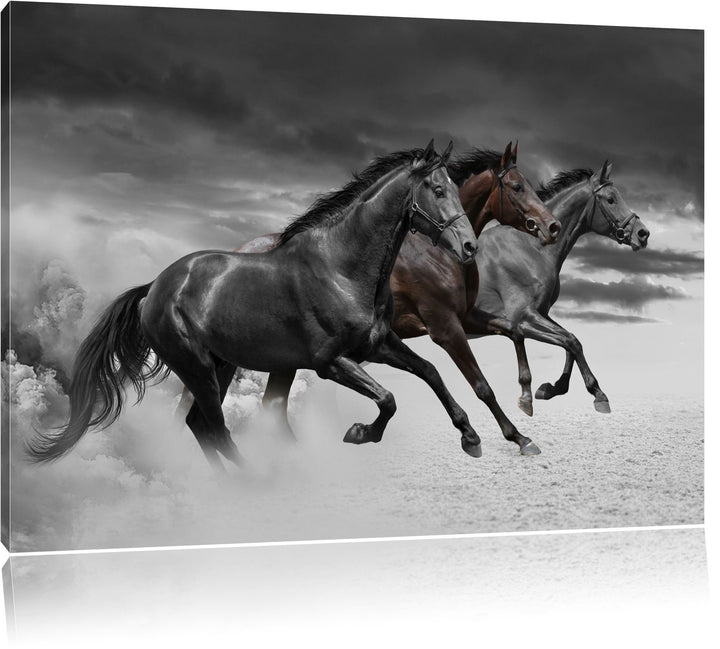drei Westernpferde im Sand schwarz/weiss Format: 100x70 auf Leinwand, XXL riesige Bilder fertig gera