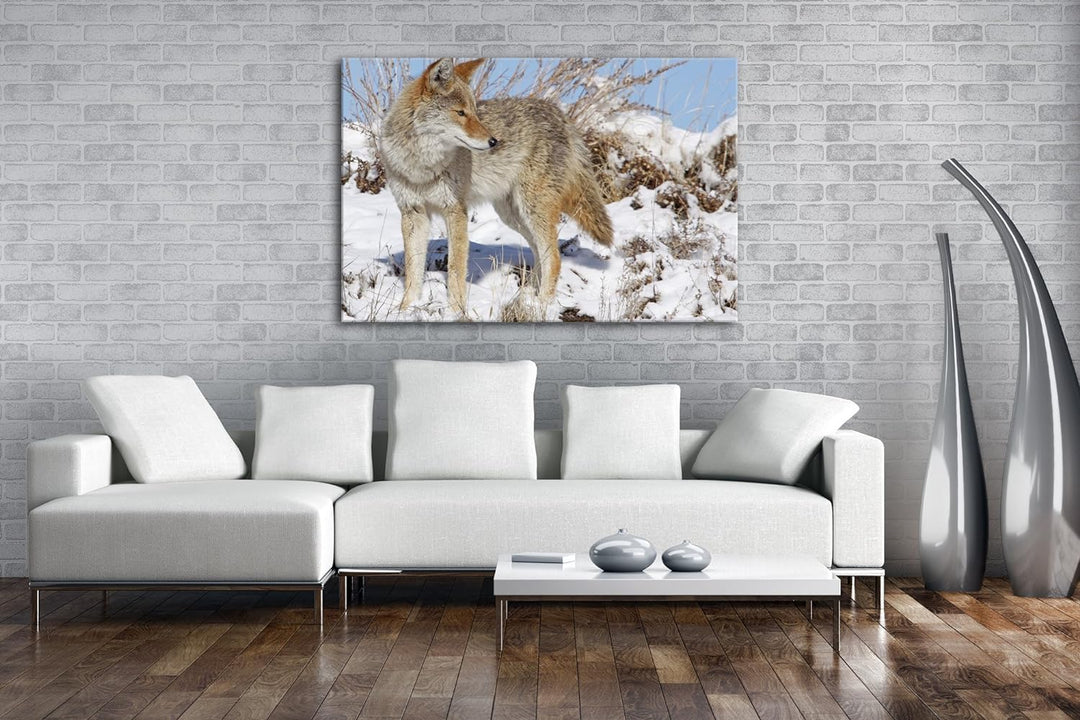 deyoli Stolzer Wolf in Winterlandschaft Format: 80x60 als Leinwandbild, Motiv fertig gerahmt auf Ech