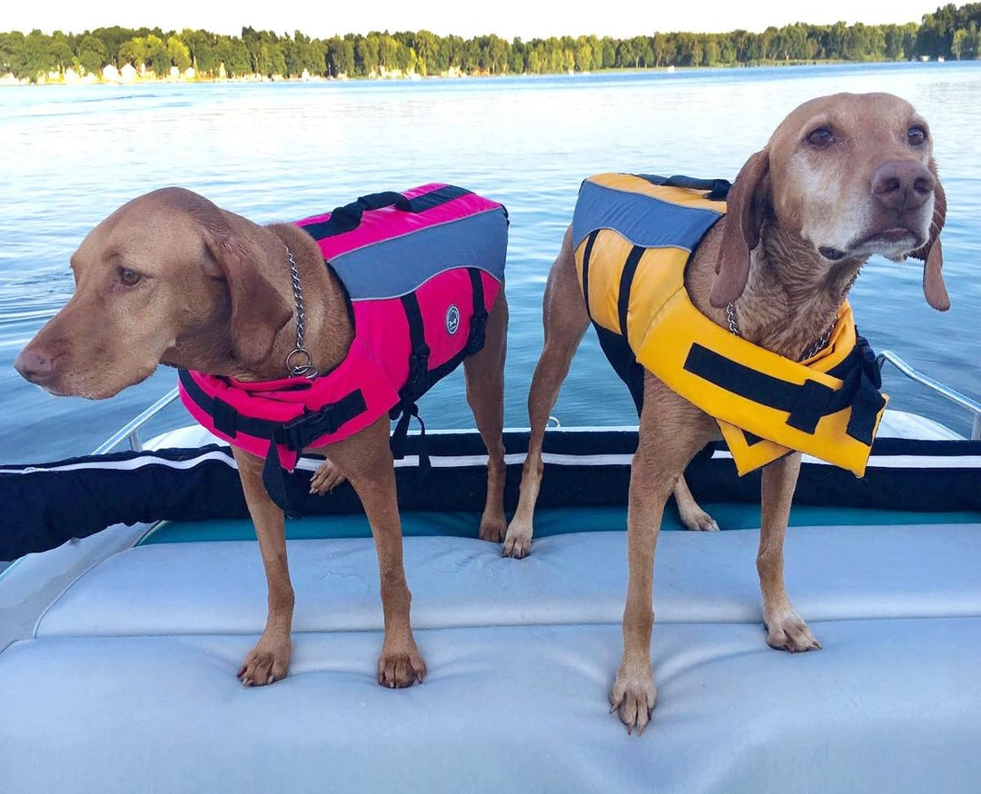 VIVAGLORY Front Float Schwimmweste Hund, Hundeschwimmweste für Bootfahren, Schwimmweste with Kopfstü