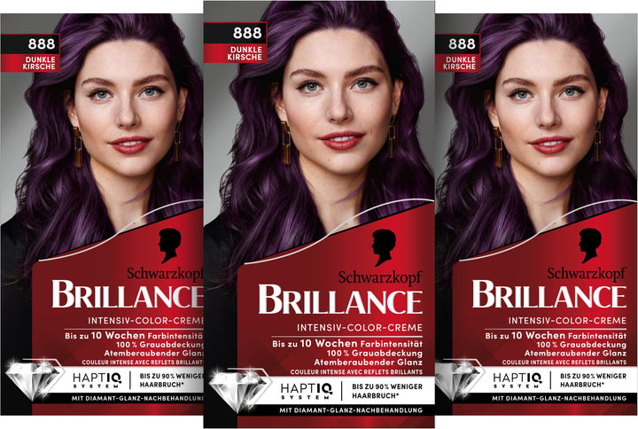 Brillance Intensiv-Color-Creme 888 Dunkle Kirsche (160 ml), dauerhafte Haarfarbe mit Diamant-Glanz u