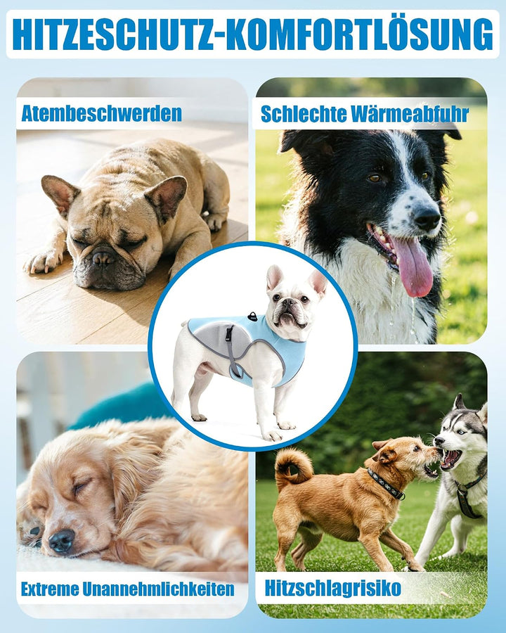 Kühlweste Hund mit 2 m Leine, Hunde Kühlweste für Kleine und Grosse Hunde, Reflektierende und Atmung