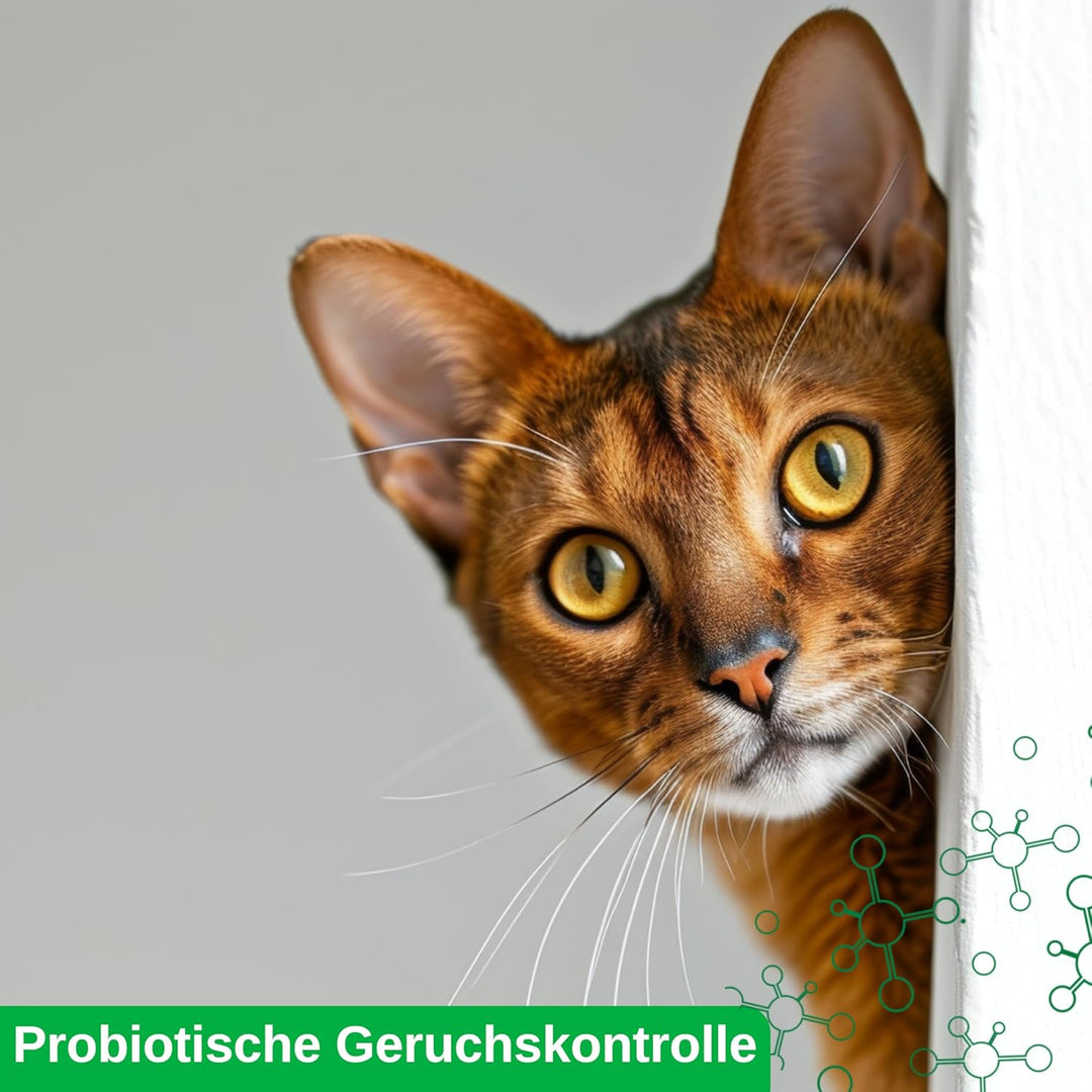 Litter Pearls Probtiotics Katzenstreu, geruchlos, Nicht klumpend, Kristall-Katzenstreu mit geruchshe