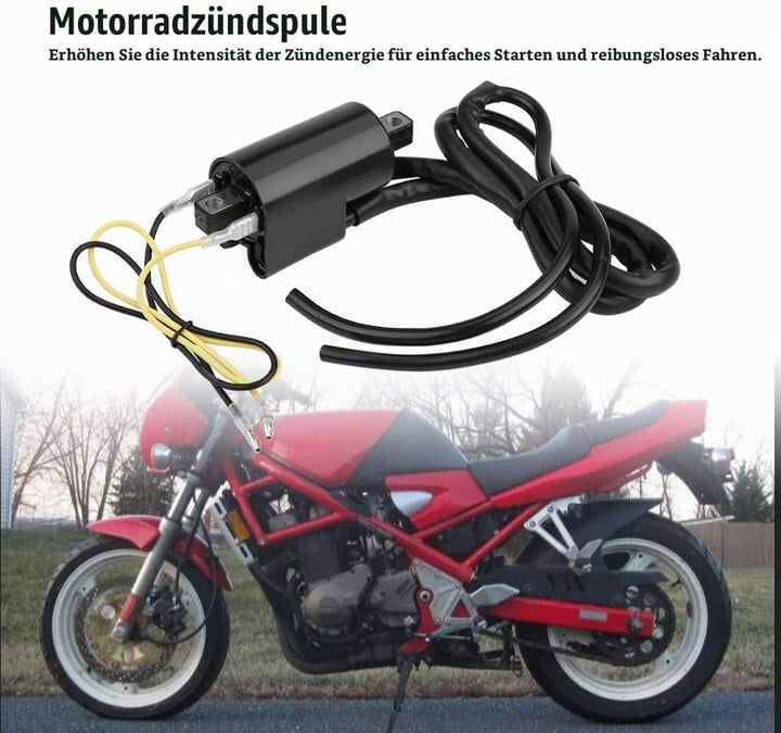 2 Stück Performance Zündspule Motorradzubehör Zündspule für GSF400 GSF600 GSF1200 Bandit