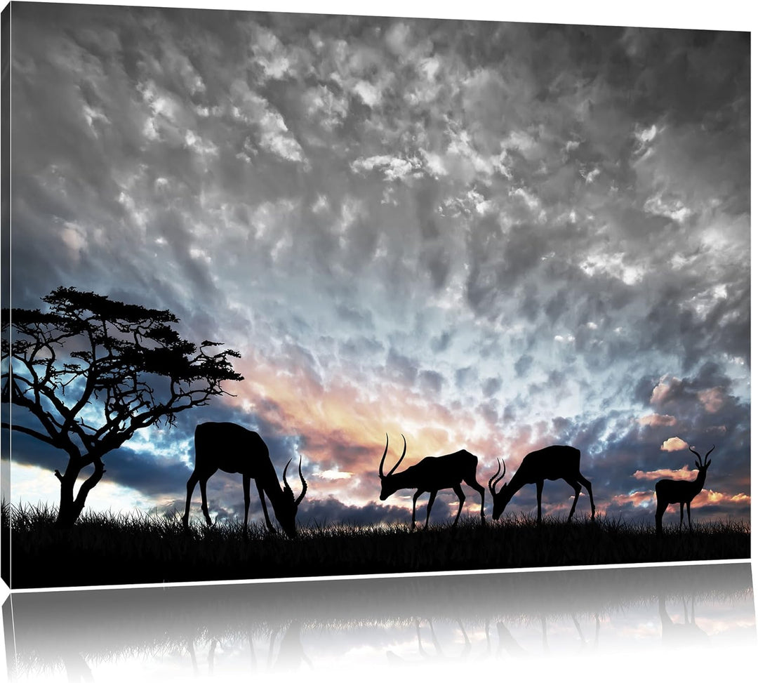 Pixxprint Tiere in der Natur als Leinwandbild | Grösse: 100x70 cm | Wandbild | Kunstdruck | fertig b