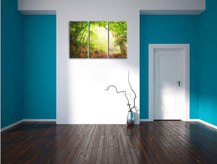 Pixxprint Sonnenstrahlen Waldweg Pinsel Effekt 3-Teiler Leinwandbild 120x80 Bild auf Leinwand