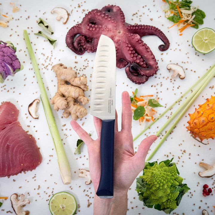 Opinel 254522 Intempora II Santoku Messer, Silber, 30.5 cm