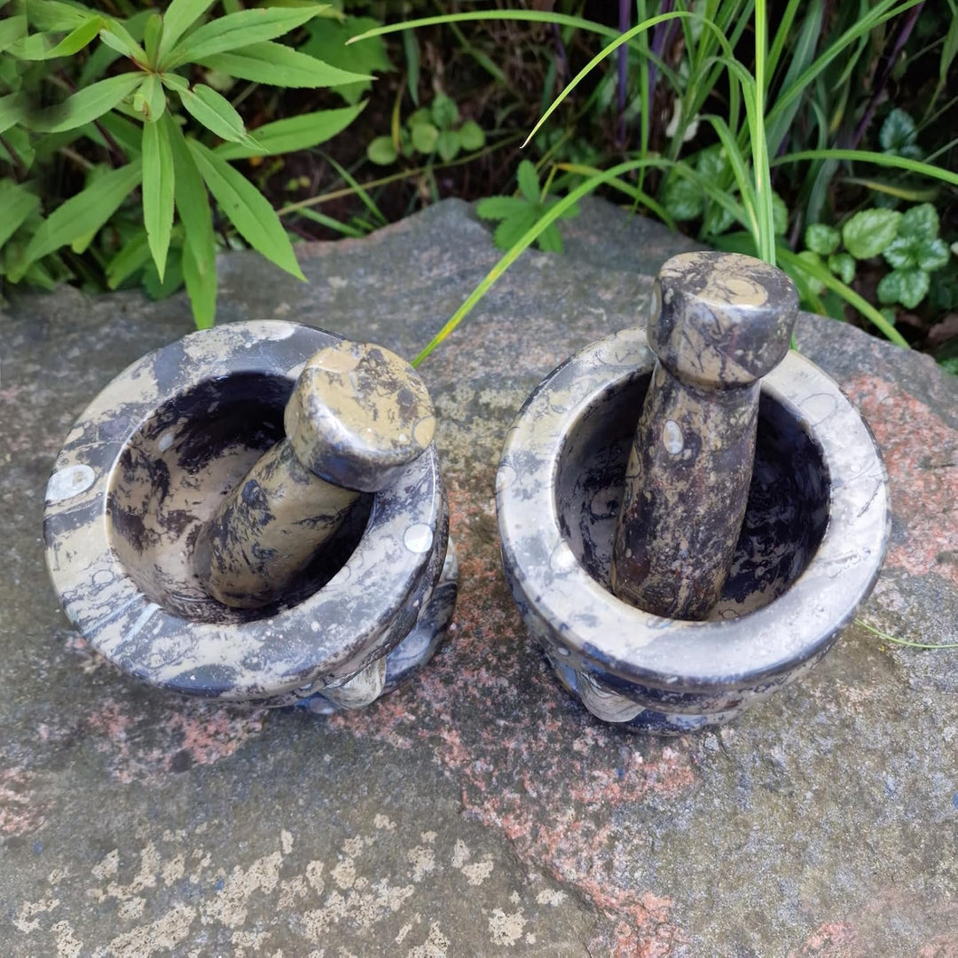 Budawi® Orthoceras Gewürz Mörser mit Stössel – Handgefertigter Küchenmörser aus Naturstein – Fossile