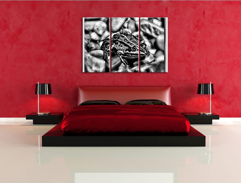 Pixxprint Monocrome, grüne Kröte in Steinbett 3-Teiler Leinwandbild 120x80 Bild auf Leinwand