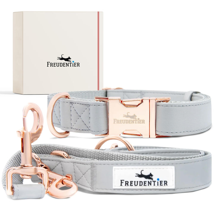 FREUDENTIER® Hundehalsband und Hundeleine (2m) aus veganem Leder im Set - Stilvoll und robust - Für