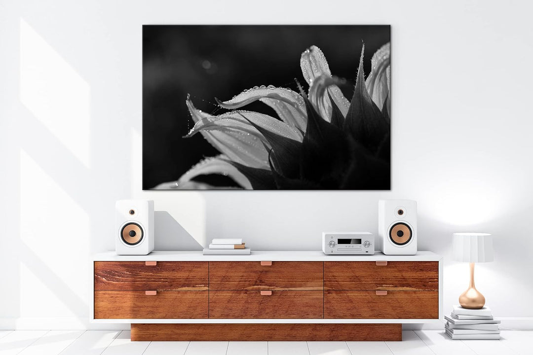 deyoli regnerische Sonnenblume Format: 80x60 als Leinwand, Effekt: Schwarz&Weiss, Motiv fertig gerah