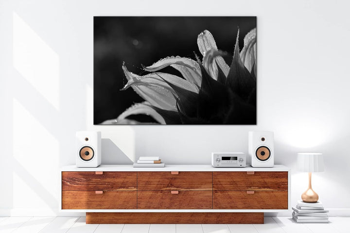 deyoli regnerische Sonnenblume Format: 80x60 als Leinwand, Effekt: Schwarz&Weiss, Motiv fertig gerah