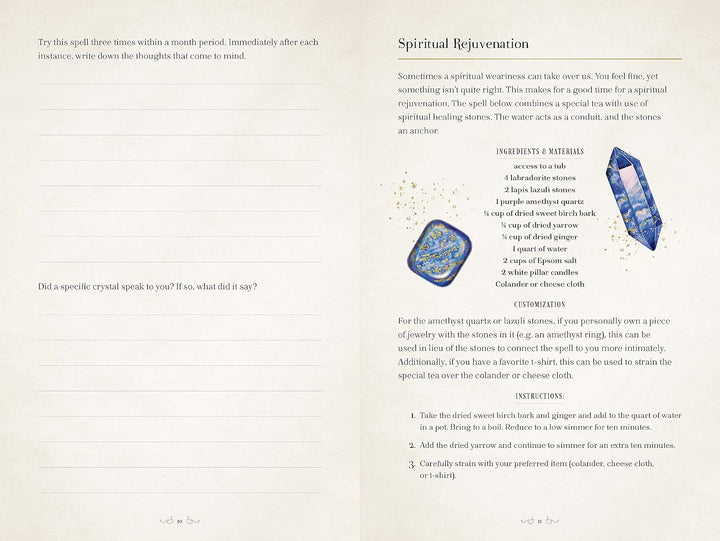 The Book of Shadows: A Journal of Magick, Spells, &amp; Rituals (9) (Mystical Handbook, Band 9), Gebunde