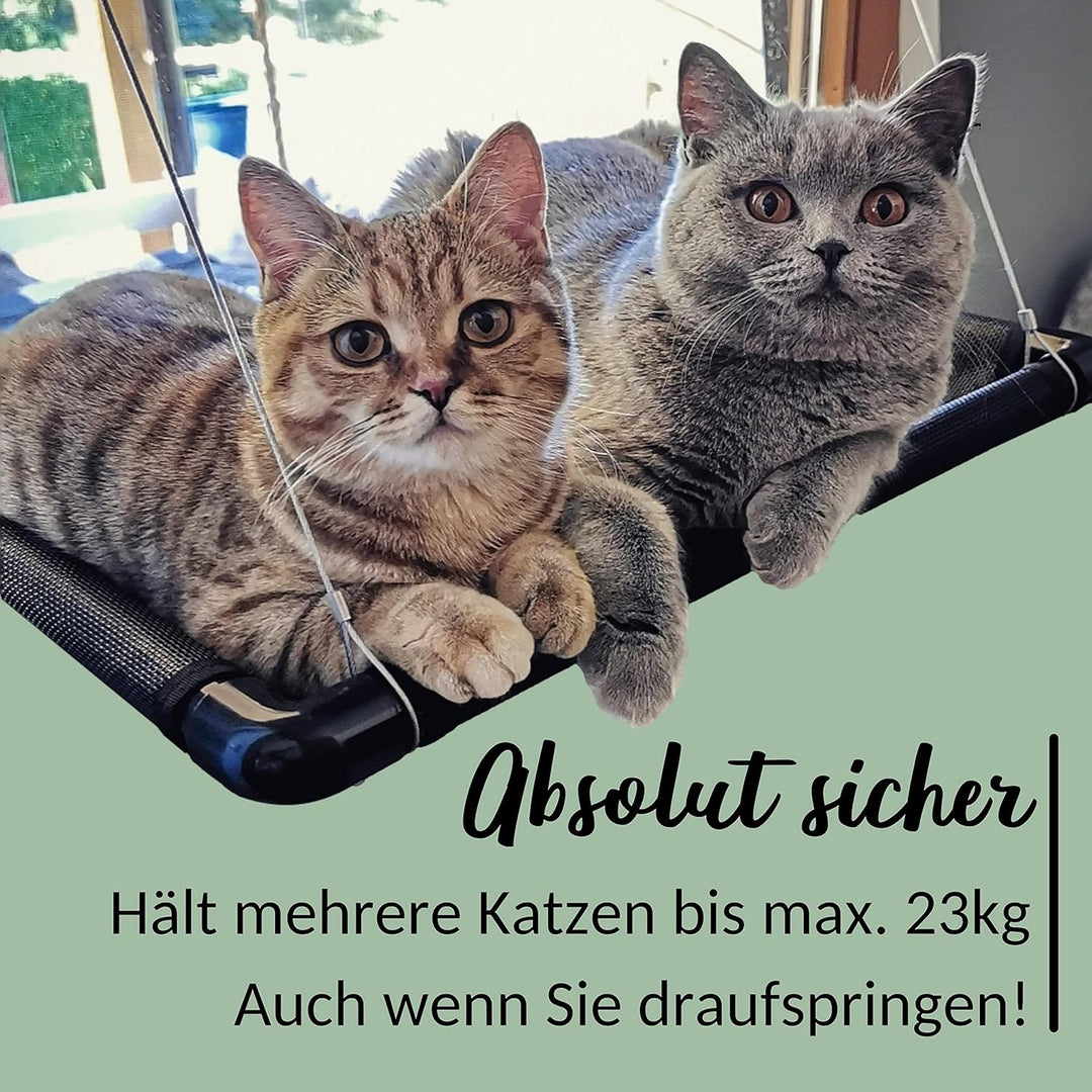 Riijk Fenster Katzenhängematte für Katzen bis 23 kg | Stabile Fensterliegeplatz für grosse Fenster S