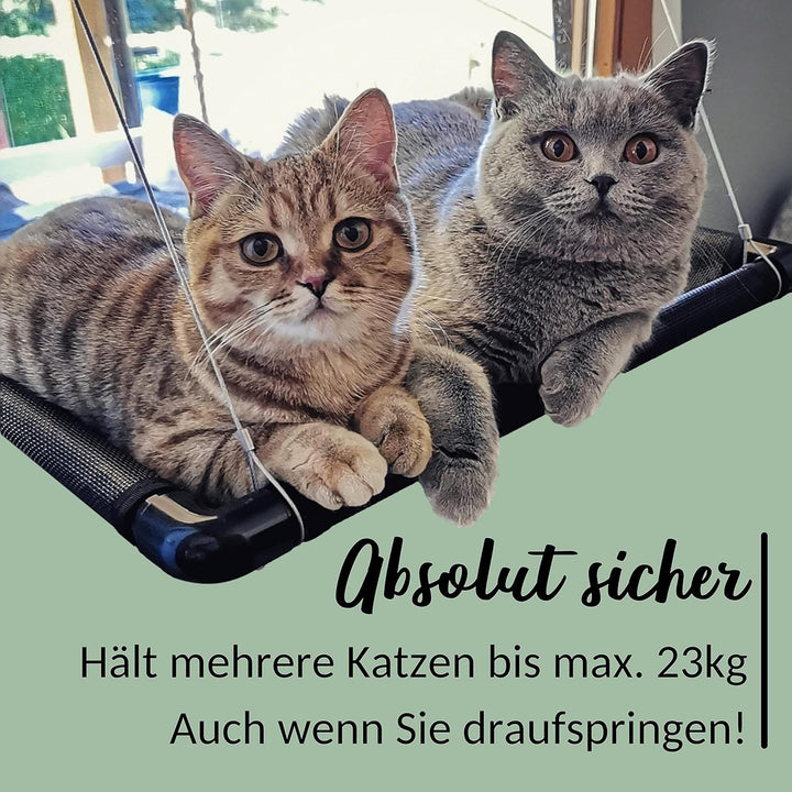 Riijk Fenster Katzenhängematte für Katzen bis 23 kg | Stabile Fensterliegeplatz für grosse Fenster S
