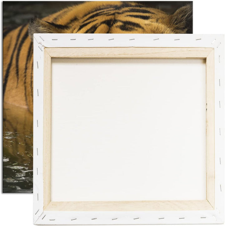 deyoli lauernder Tiger Format: 70x70 cm als Leinwandbild, Motiv fertig gerahmt auf Echtholzrahmen, H
