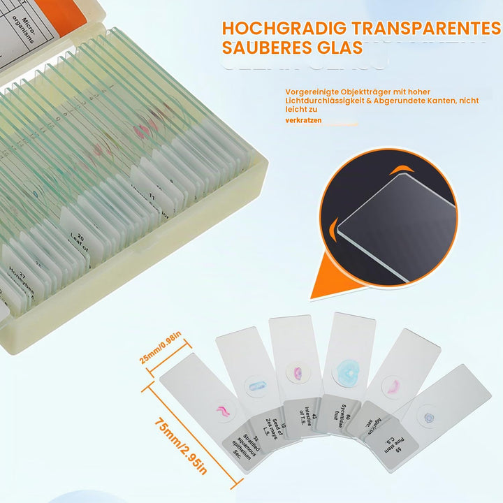 HUAREW 60 Pcs Mikroskop Objektträger mit Biologischen Proben, Pflanzen Insekten Menschliche Zelle fü