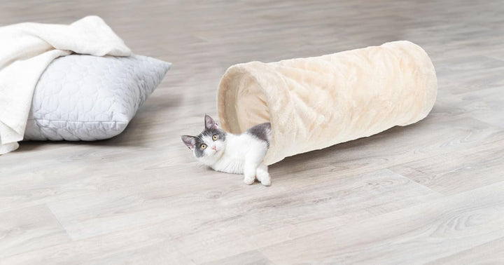 Trixie 42981 Spieltunnel, Plüsch, ø 22 × 60 cm, beige beige L 60 x B 22 x H 22 cm, beige L 60 x B 22