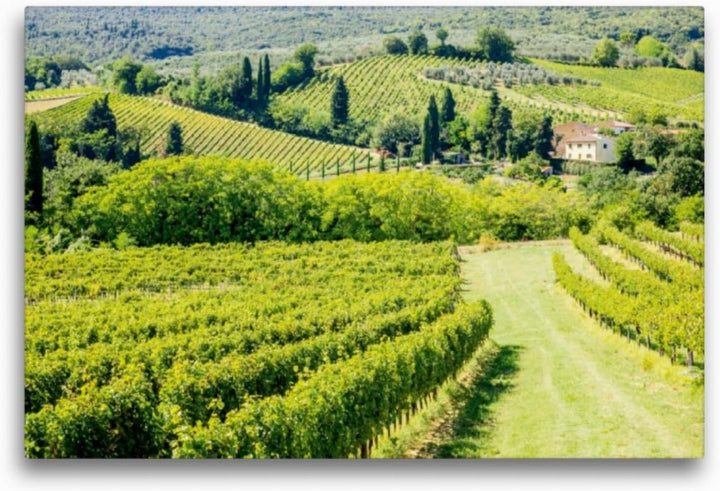 Premium Textil-Leinwand 75 x 50 cm Quer-Format Weinberg bei San Gimignano | Wandbild, HD-Bild auf Ke