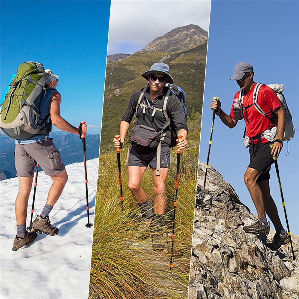 FitTrek Wanderstöcke - Trekkingstöcke - Walking Stöcke Teleskop - Nordic Walking Stock Verstellbar L