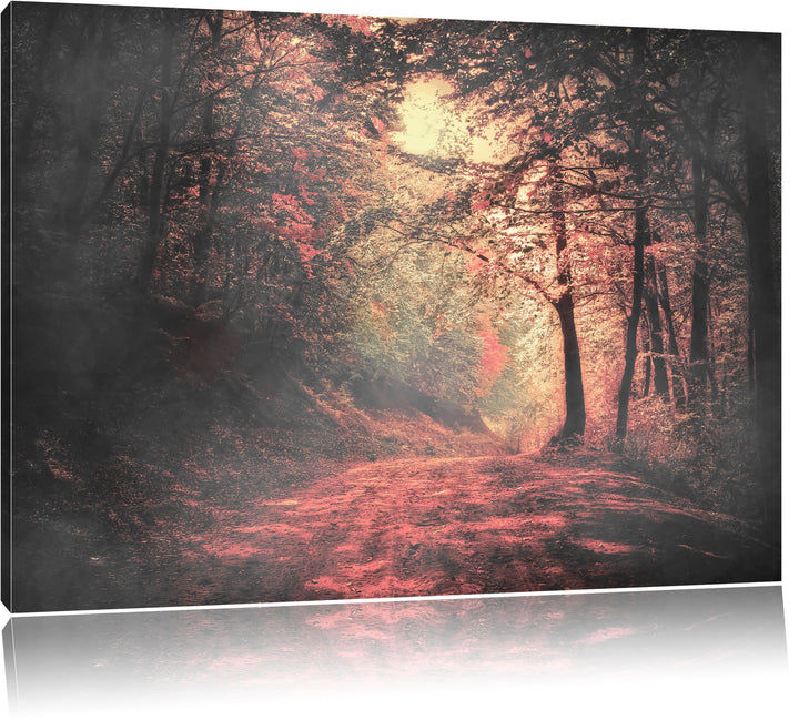 traumhafte Waldstrasse im Herbst schwarz/weiss Format: 100x70 auf Leinwand, XXL riesige Bilder ferti