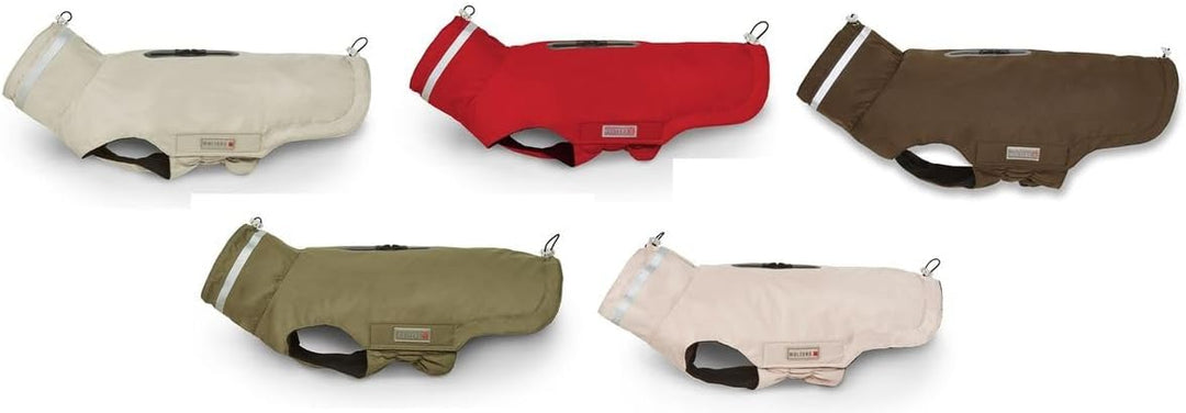 Wolters Outdoorjacke Modern Classic für Dackel, Grösse:38 cm, Farbe:Olive 38 cm olive, 38 cm olive