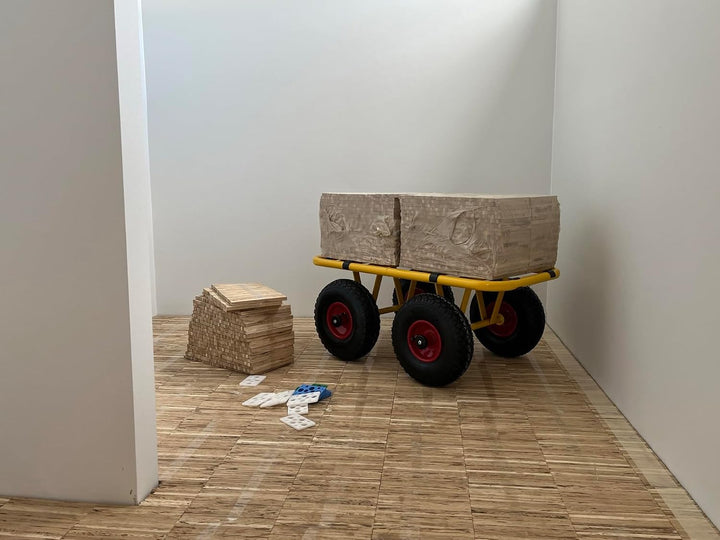 Ravendo Plattenwagen Transportwagen Dolly 4 Rad 300 Kg TD 300-4W Schwerlast Lasten Karre Transportka