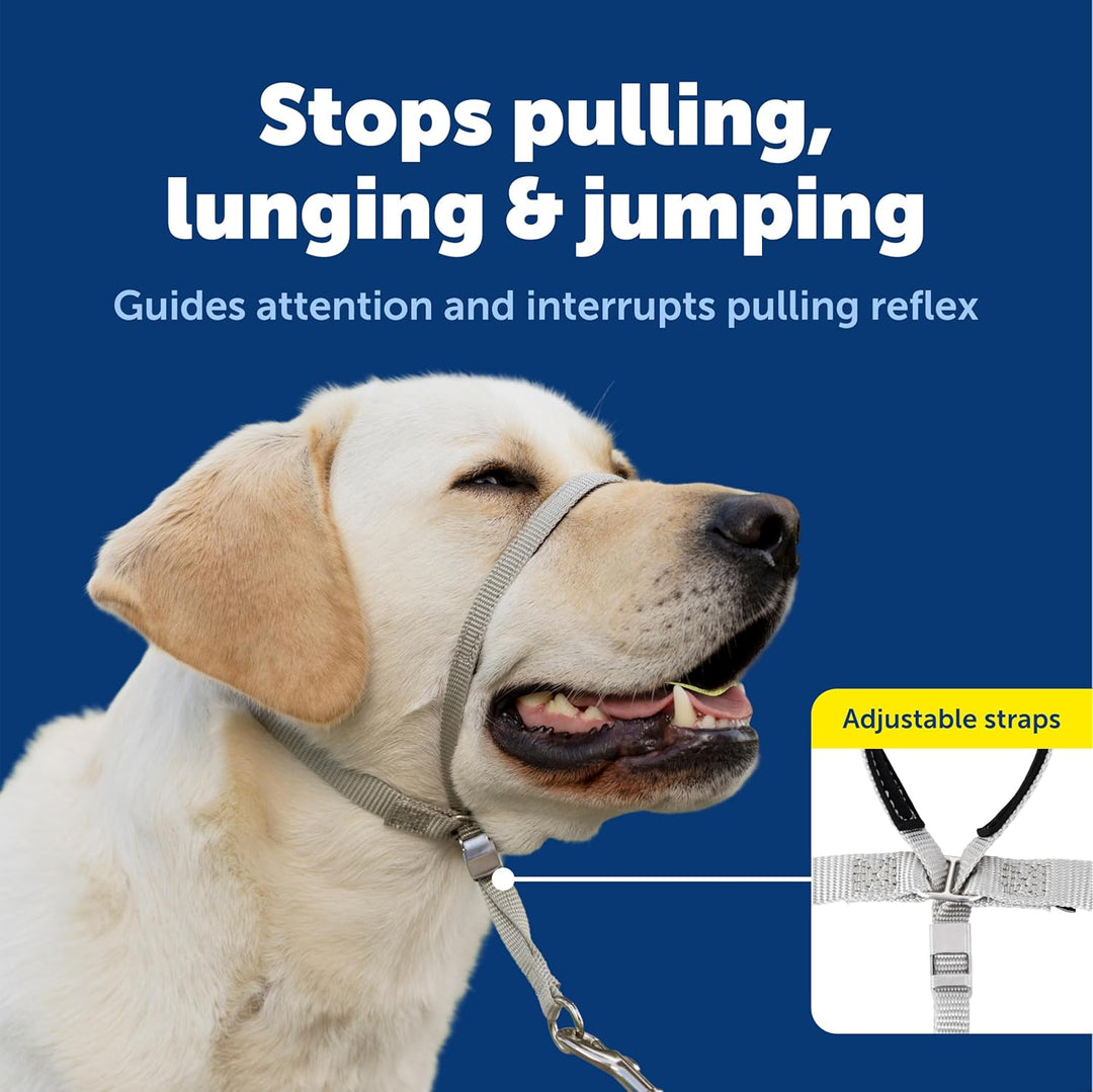 PetSafe Sanfter Führer Halsband mit Trainings-DVD schwarz Medium, schwarz Medium