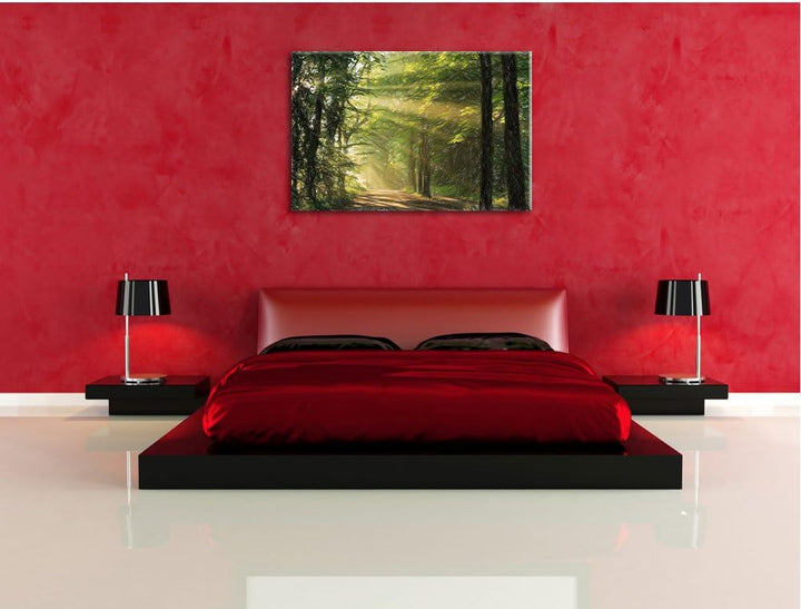 Pixxprint Waldweg im Frühling als Leinwandbild/Grösse: 100x70 / Wandbild/Kunstdruck/fertig bespannt,