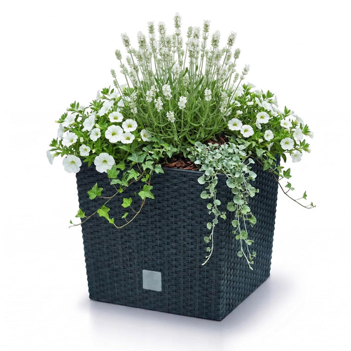 Prosperplast Blumentopf in Rattan-Optik Pflanzkübel mit Einsatz | anthrazit | wetterfest &amp; UV-bestän