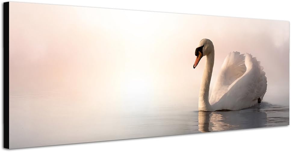 Paul Sinus Art Panoramabild auf Leinwand und Keilrahmen 150x50cm See Schwan Nebel Sonnenaufgang