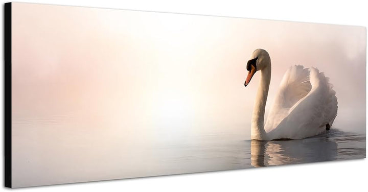 Paul Sinus Art Panoramabild auf Leinwand und Keilrahmen 150x50cm See Schwan Nebel Sonnenaufgang
