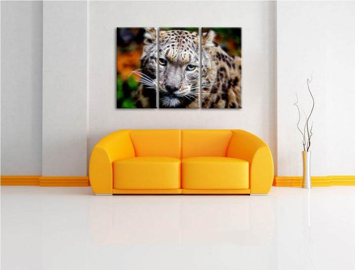 eleganter Schneeleopard Spezial 3-Teiler Leinwandbild 120x80 Bild auf Leinwand, XXL riesige Bilder f