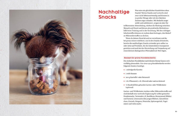 Oh Happy Dog!: Alles für ein glückliches, gesundes und nachhaltiges Hundeleben, Gebundenes Buch