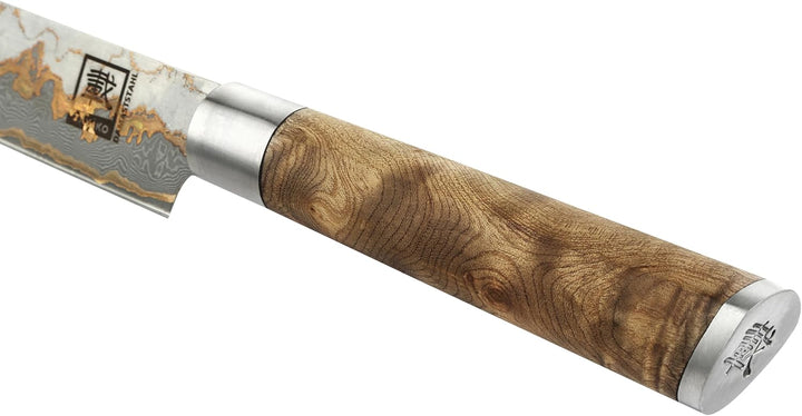 zayiko MysticMagma Damastmesser für Sashimi I Messer mit 25 cm Klinge gefertigt aus 67 Lagen Damasts