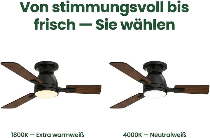 Proventa Deckenventilator mit Beleuchtung (106cm), 106cm