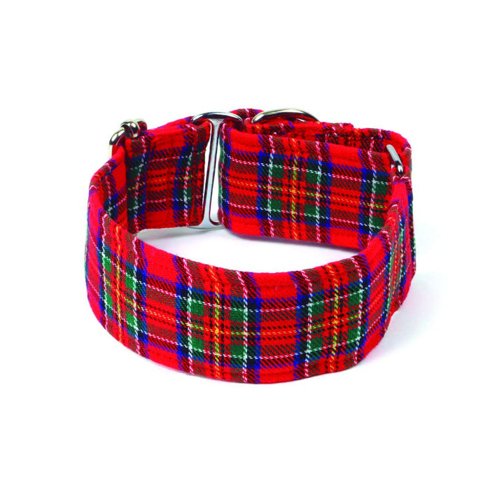 Galguita Amelie. 5 cm Grösse L (40-49 cm) Schottische Martingale-Halskette. 5cm Ancho Talla L (40-49